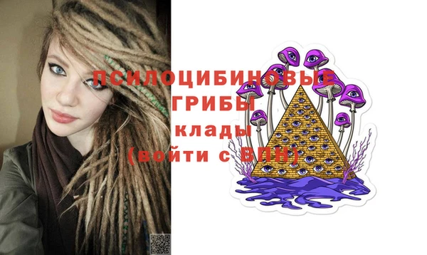 бошки Алзамай