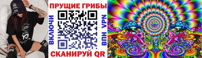 МЕГА как зайти Луза Галлюциногенные грибы мухоморы