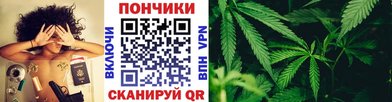 купить   Луза  Шишки марихуана Amnesia 